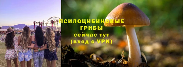 спайс Зеленодольск