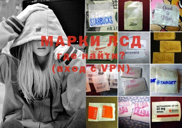 сатива Заводоуковск