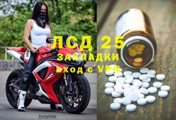 сатива Заводоуковск