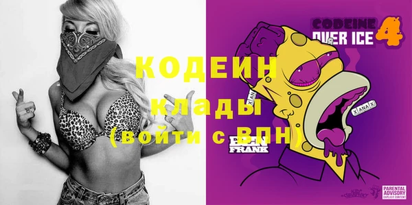 сатива Заводоуковск